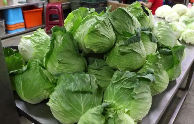 冷凍高麗菜方法