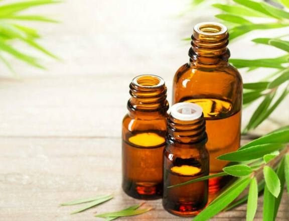 茶樹精油加水用途