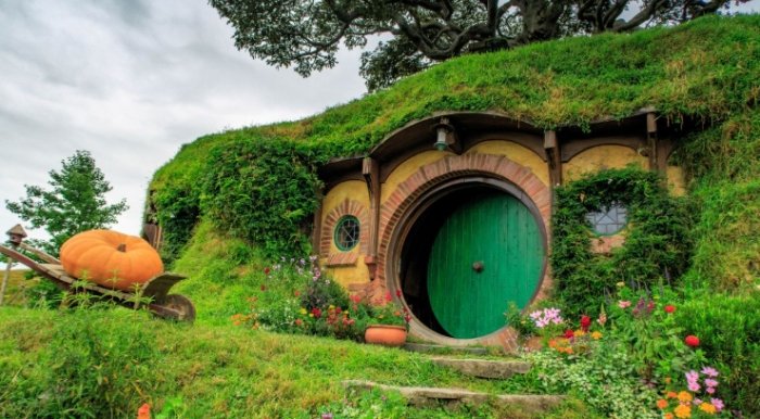 紐西蘭北島自由行