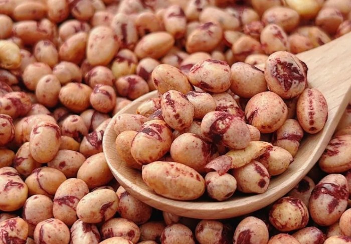 納豆紅麴注意事項