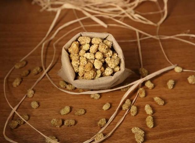 白桑子乾使用方法