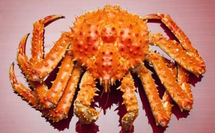 帝王蟹過敏症狀