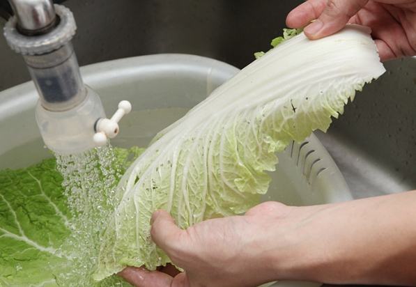 大白菜清洗方法