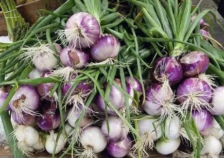洋蔥鉀功效