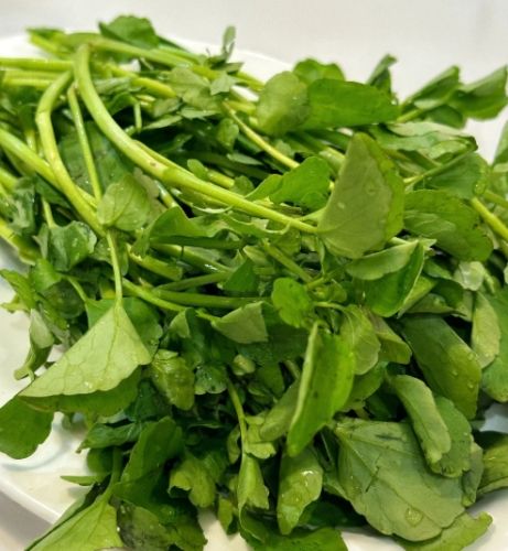 西洋菜健康益處