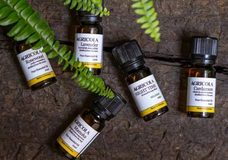 茶樹精油稀釋方法