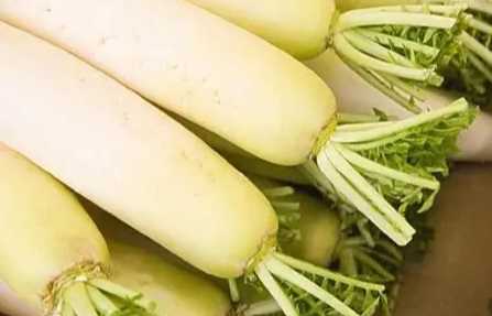 蘋果白蘿蔔相克