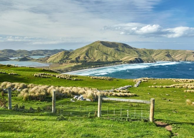 紐西蘭旅遊最佳月份