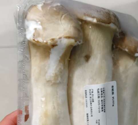 杏鮑菇壞掉判斷