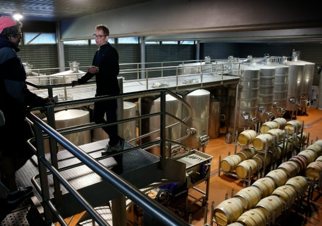 紐西蘭酒莊體驗