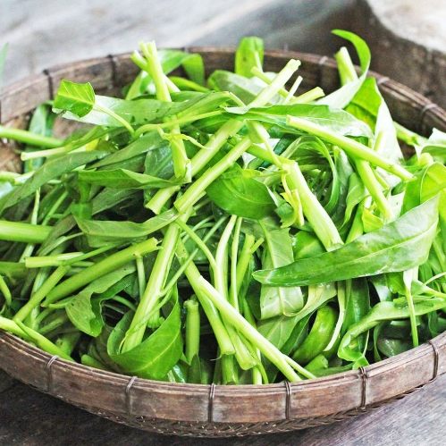 空心菜冷冻方法