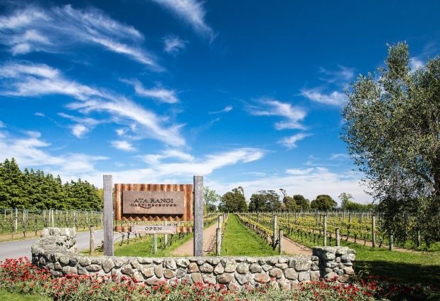 北島葡萄酒旅遊