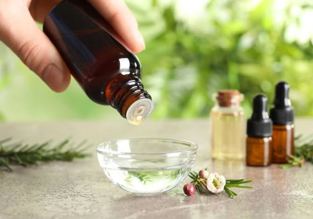 茶樹精油加水比例