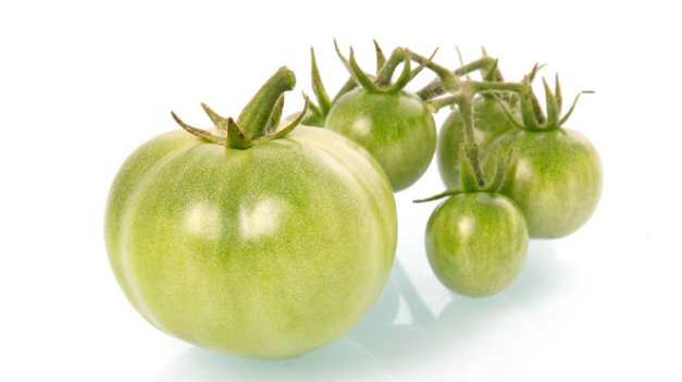 未成熟番茄食用