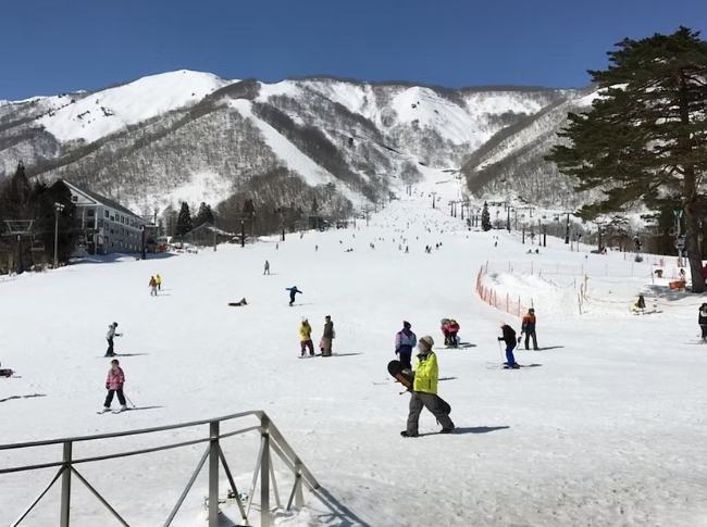 日本白馬滑雪場推薦