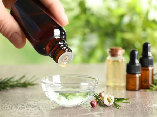 茶樹精油薰香方法