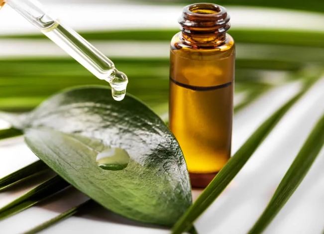 茶樹精油加水用途