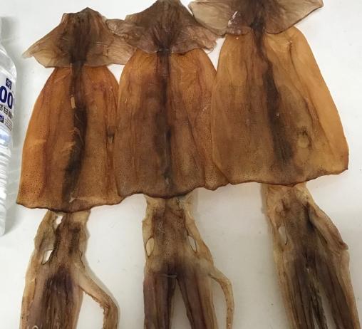 小琉球魷魚料理