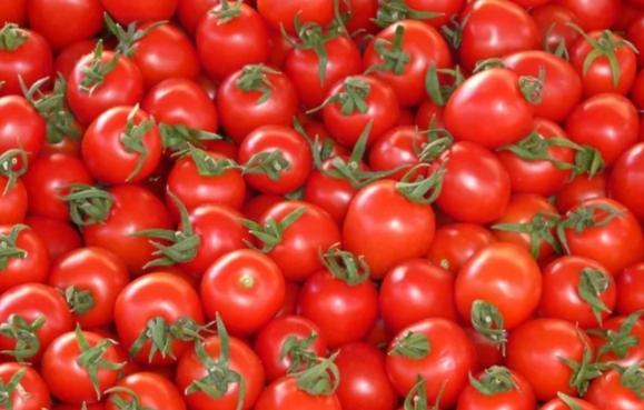 小番茄營養價值