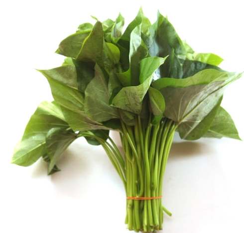 地瓜葉搭配禁忌