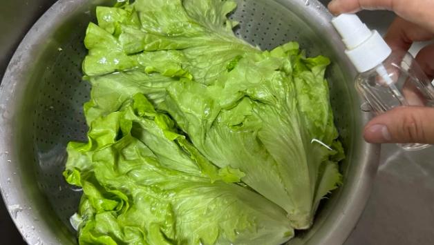 小白菜農藥殘留清洗