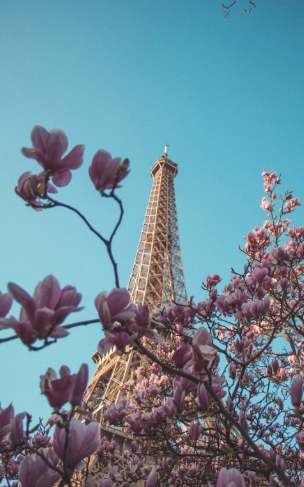 南禅寺巴士资讯