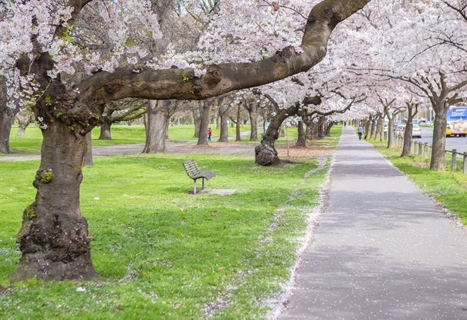 基督城旅遊景點