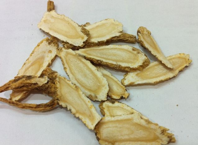 西洋蔘禁忌人群