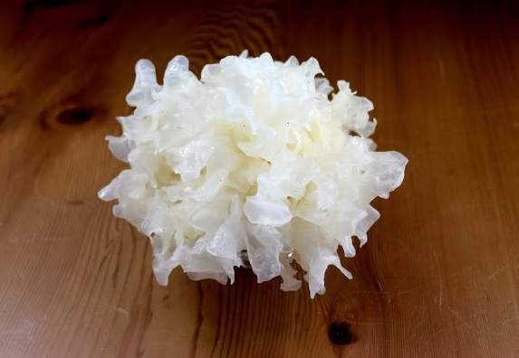 白木耳飲食禁忌