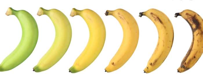 腸躁症 香蕉