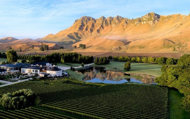 北島葡萄酒旅遊