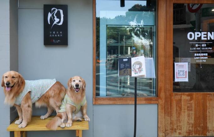中和寵物餐廳推薦