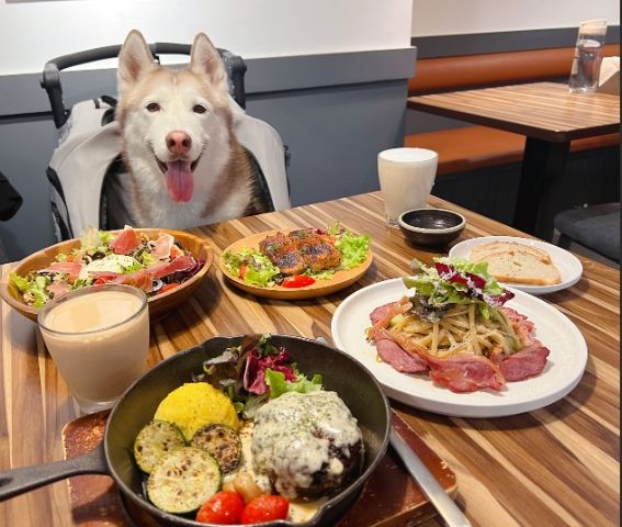 寵物友善餐廳