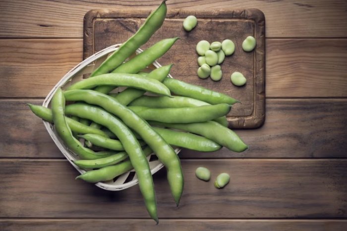 腸躁症不能吃的水果