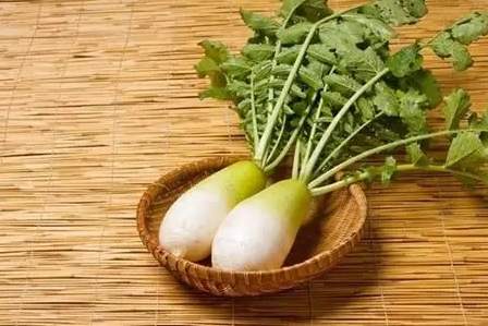 白蘿蔔搭配禁忌