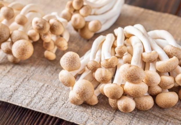 鴻禧菇冷凍後變化