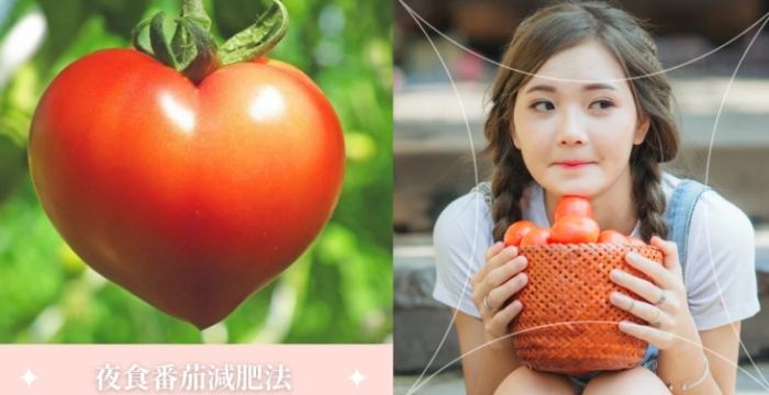 減肥吃番茄好處