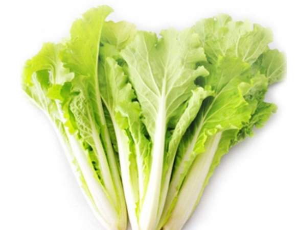 小白菜切法