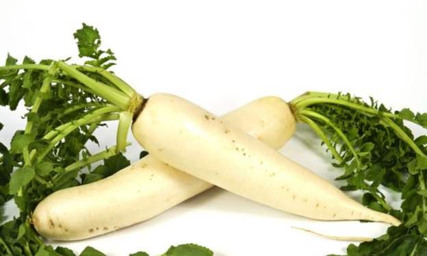 紅蘿蔔營養吸收