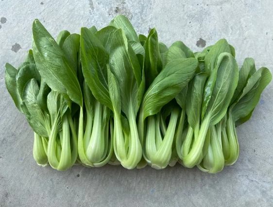 青江菜草酸含量