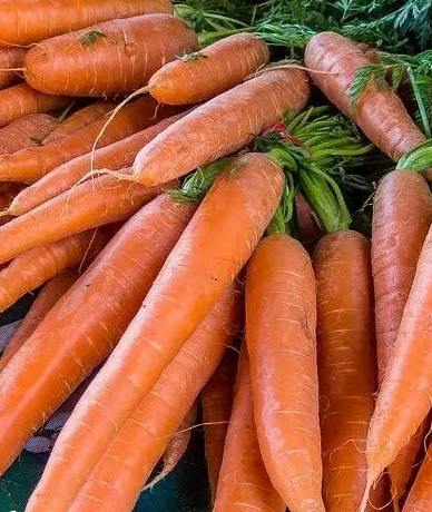 紅蘿蔔食物相克