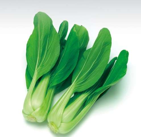 青江菜冷凍方法