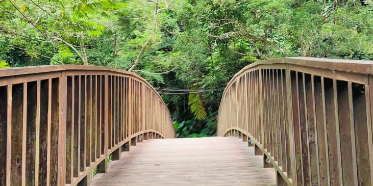 老鷹溪步道注意事項