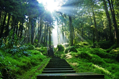 塔山步道入園申請