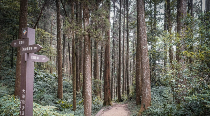 大凍山登山路線