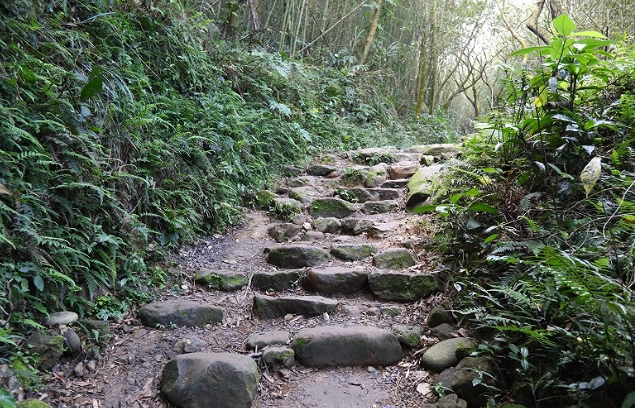 大凍山登山步道