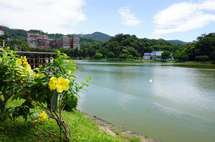碧湖公園環湖步道長度