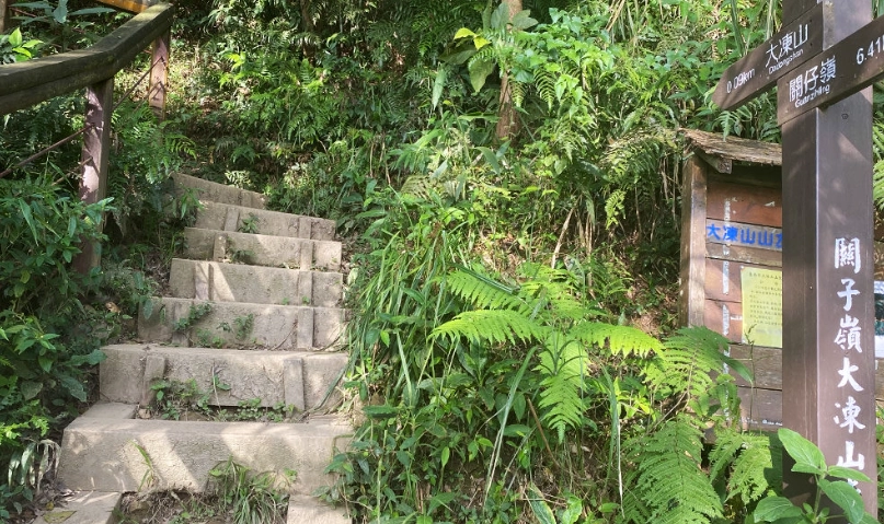 台南大凍山登山