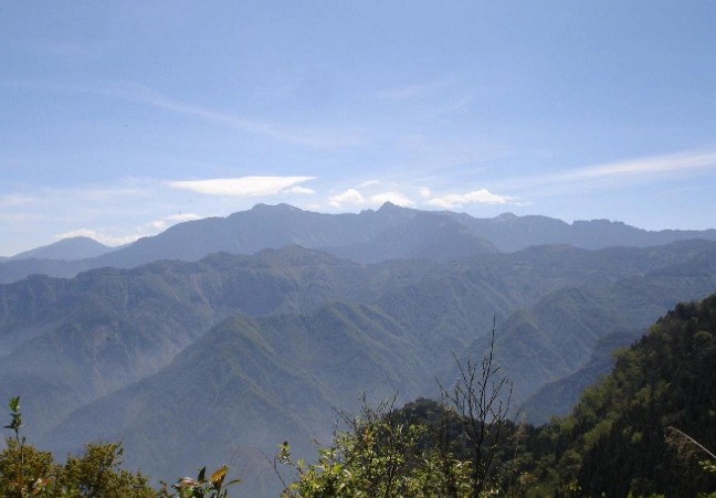 阿里山大塔山步道