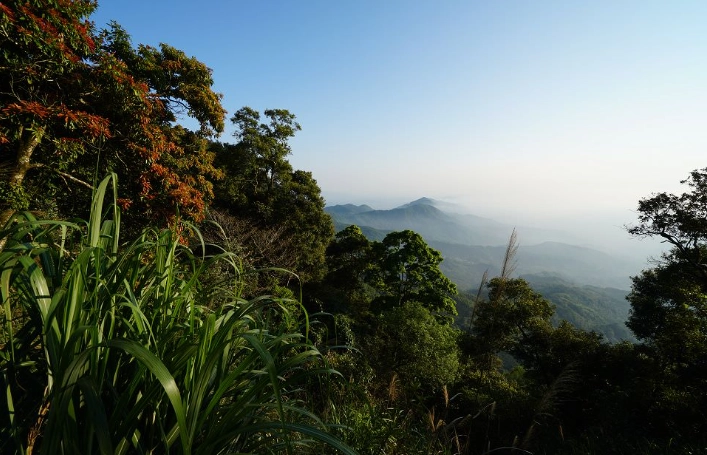台南大凍山登山